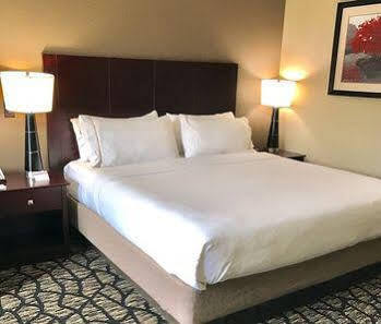 Express And South By Ihg 3* Lubbock